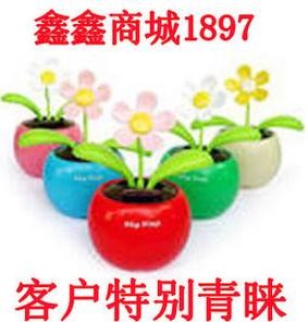 太阳花